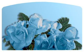DACRO-061 Bouquet Of Roses Blue